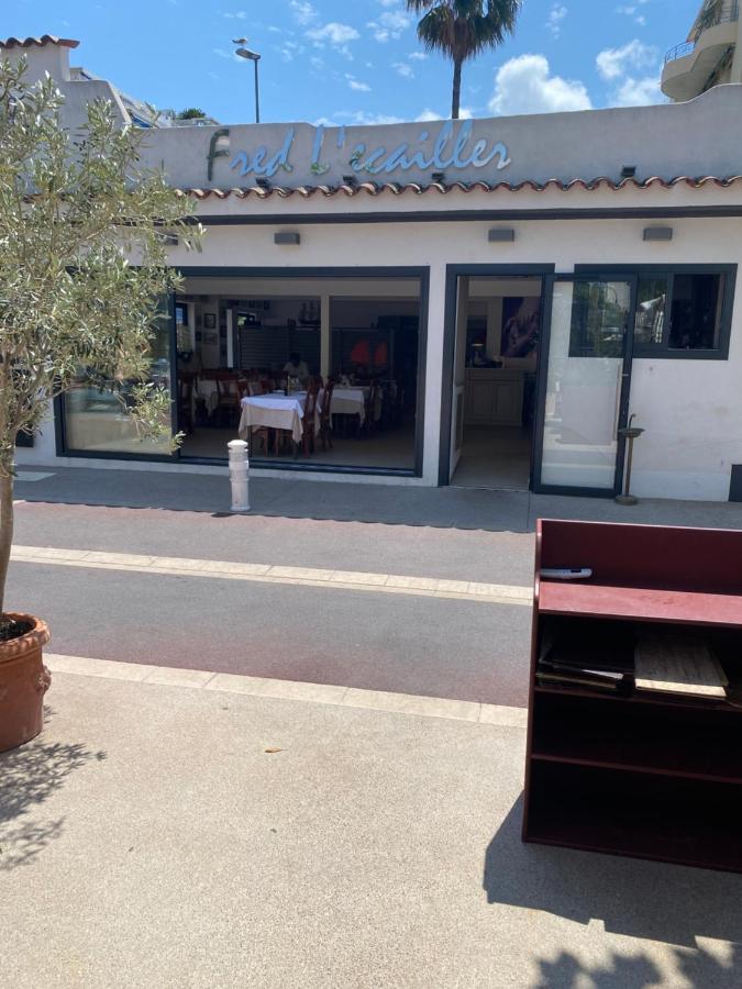 Magnifique 2 Pieces Palm Beach Bord Mer Cannes Exterior photo